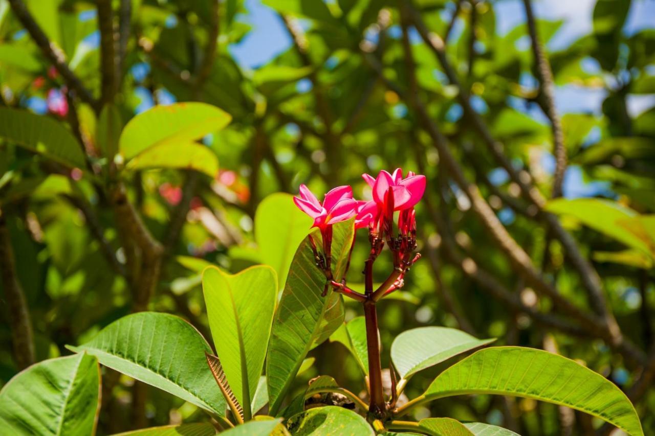 Sea Sand Sun Resort, Lanta Island Koh Lanta Ngoại thất bức ảnh
